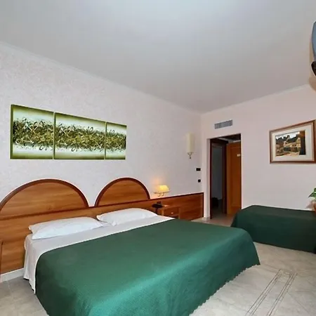 L'aquila Hotel Pomezia
